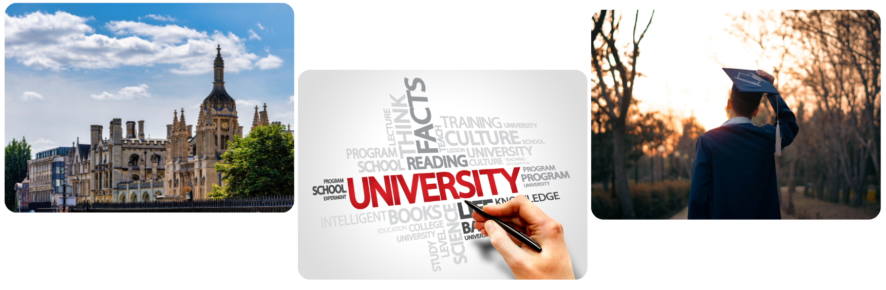 Universidad en Estados Unidos